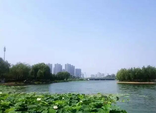 赵王河清淤工程